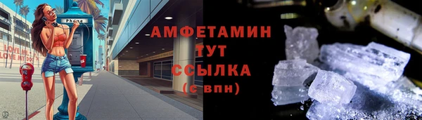 мет Алексин