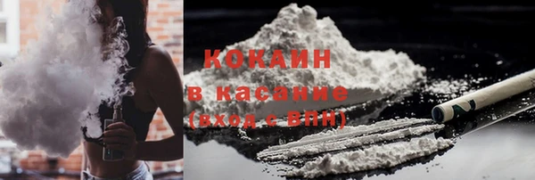 мет Алексин