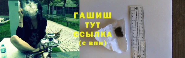 шишки Сатка