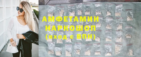 мет Алексин
