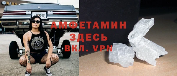 мет Алексин