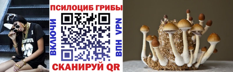 Псилоцибиновые грибы мухоморы  mega ONION  Опочка 